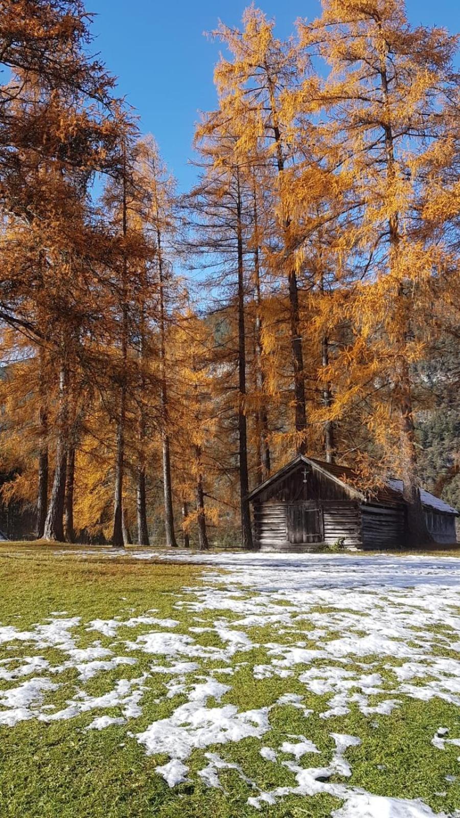 Chalet Am See ناسيريث المظهر الخارجي الصورة