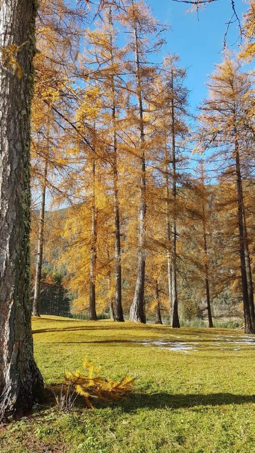 Chalet Am See ناسيريث المظهر الخارجي الصورة